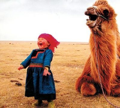 laughing-child-camel