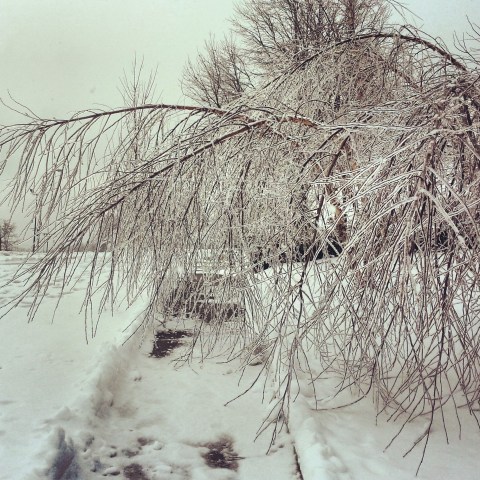 IMG_20140208_162345 (1)