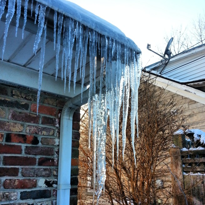 IMG_20140212_101723 (1)