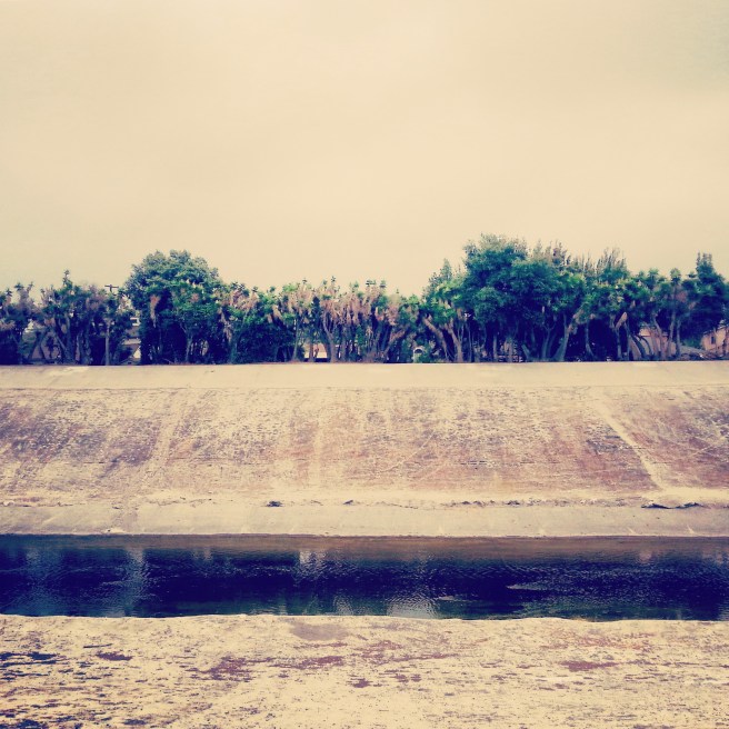 IMG_20140628_112915 (1)