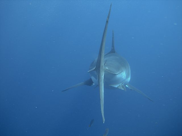 efab6612820cd6fcade8ed4f511d8582