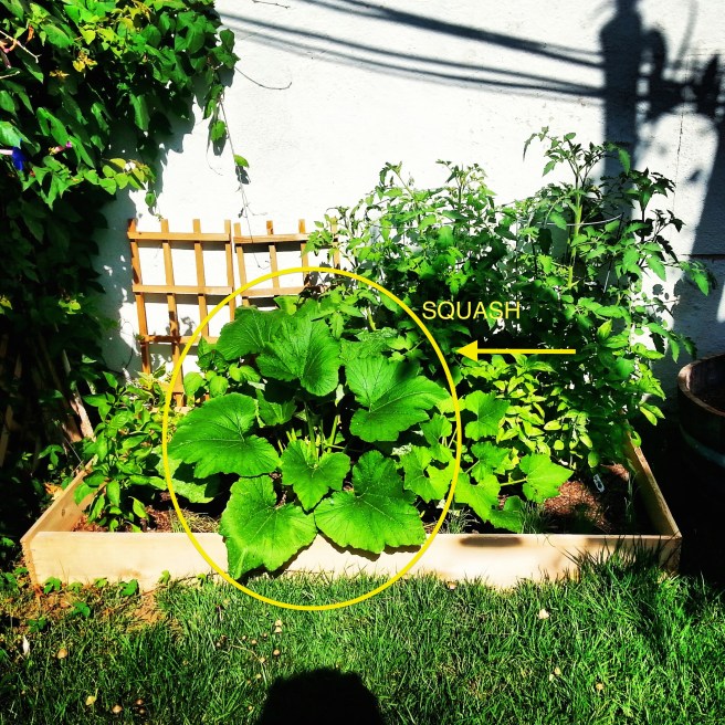 IMG_20140906_101502 copy