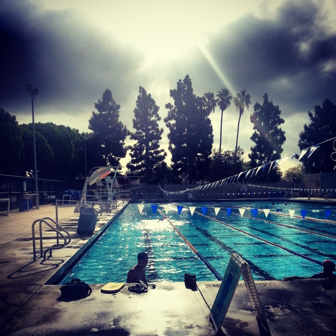 IMG_20141113_113142 (2)